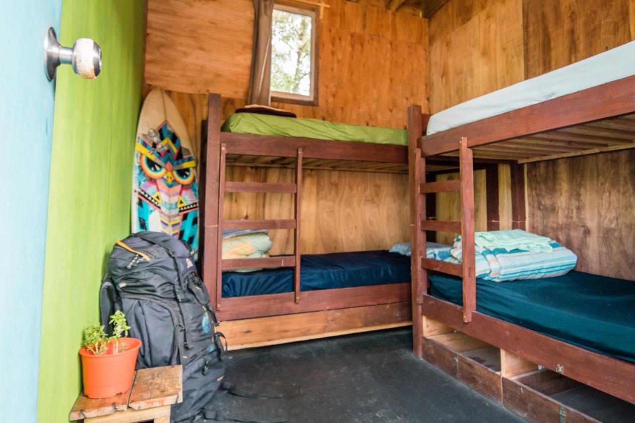Compay Hostel 라 페드레라 객실 사진