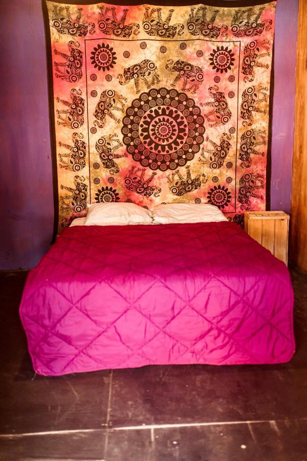 Compay Hostel 라 페드레라 객실 사진