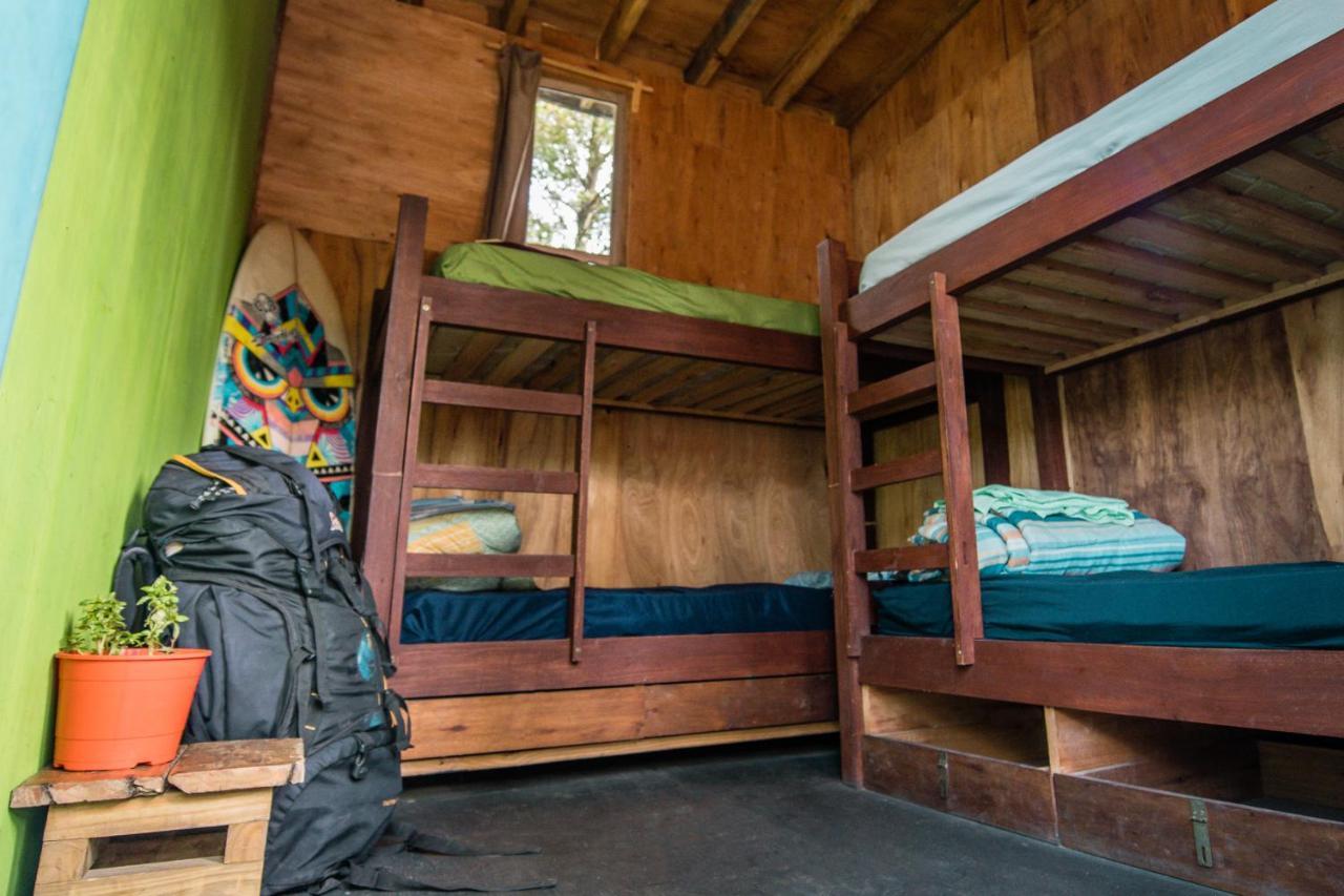 Compay Hostel 라 페드레라 객실 사진
