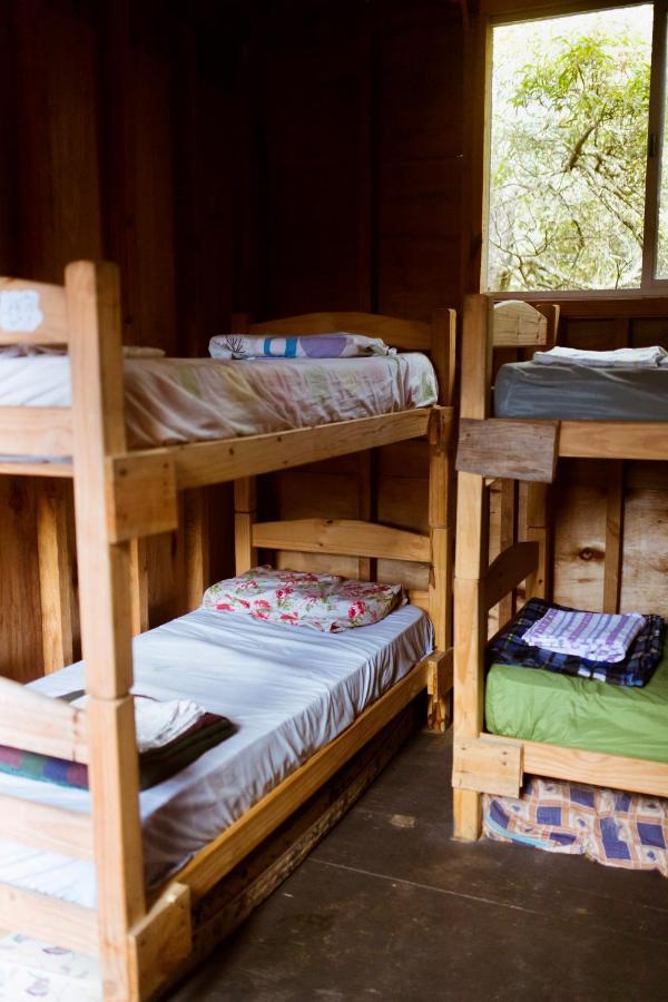 Compay Hostel 라 페드레라 객실 사진
